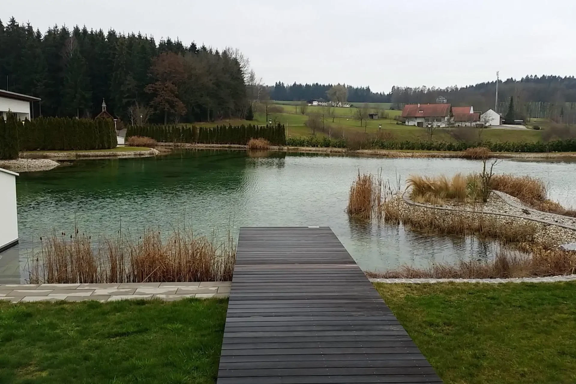 Schwimmteich1